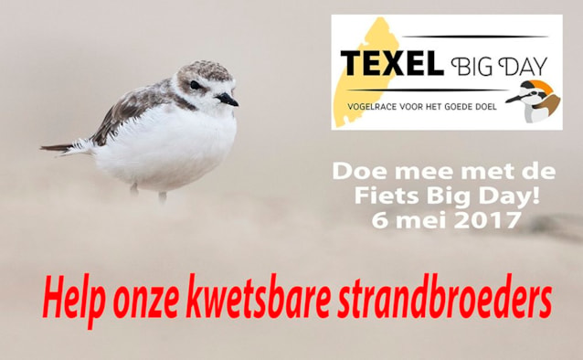 Texel Big Day 6 mei
