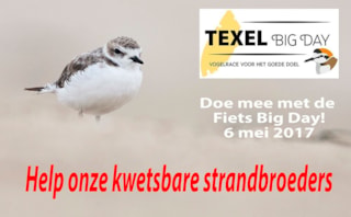 Texel Big Day 6 mei