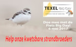 Texel Big Day 6 mei