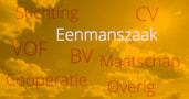 eenmanszaak of ........