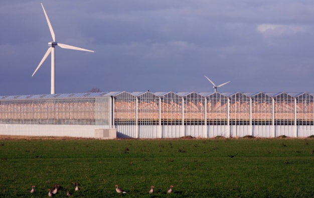 Kassen-en-windmolens