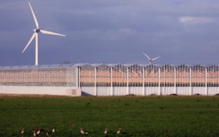 Kassen-en-windmolens