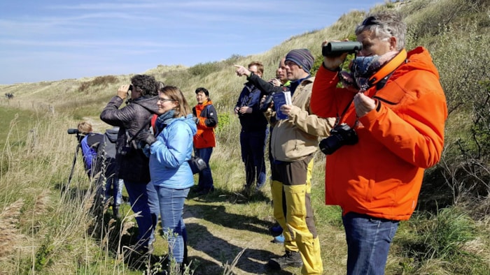 Texel Big Day