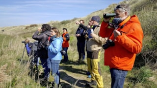 Texel Big Day