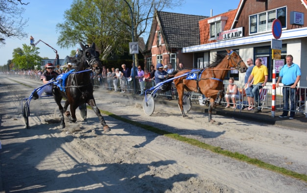 Kortebaan Wognum 2016-2