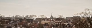 carillon Hoorn