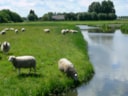Alderwegenschapen 18-6-17