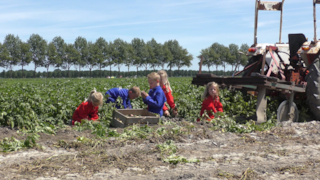 beeld2
