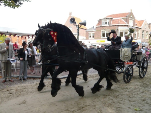 Nostalgisch Hartje Hoorn