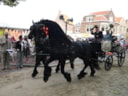 Nostalgisch Hartje Hoorn