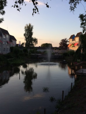 Foto vijver