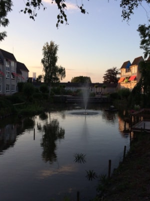 Foto vijver