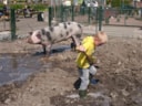 zomer op de boerderij (2)