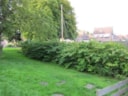 Foto1