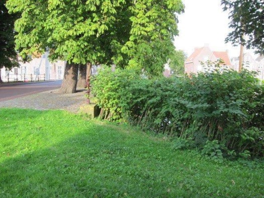 Foto2