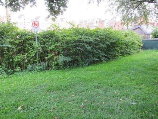 Foto4