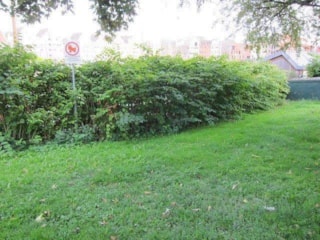 Foto4
