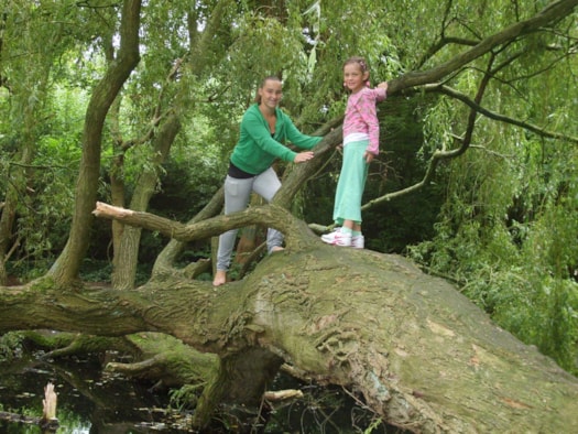 Natuurelementen