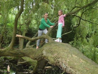 Natuurelementen