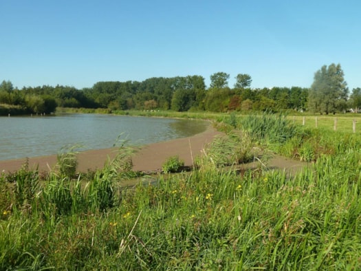 Suyderbraeck1