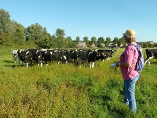 Suyderbraeck2
