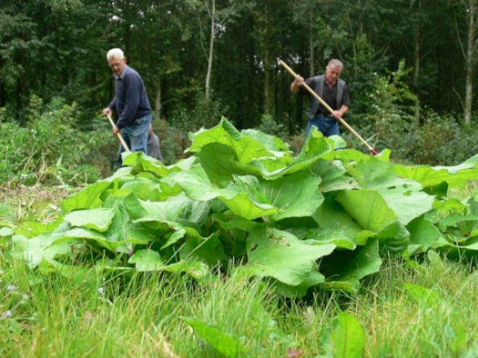 Natuurwerkdag Egboetje2