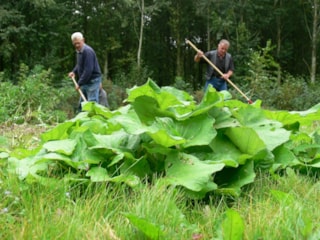 Natuurwerkdag Egboetje2