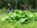 Natuurwerkdag Egboetje2
