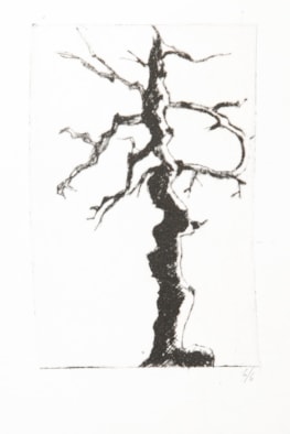 017 A Visser