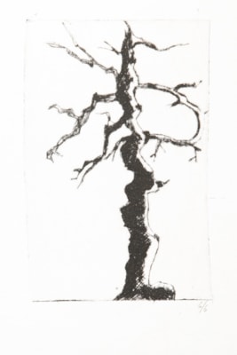 017 A Visser