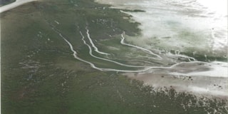 Waddenzee geen gewone zee