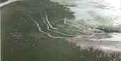 Waddenzee geen gewone zee