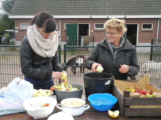 Van appel tot moes (2)