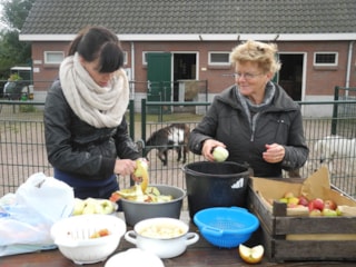 Van appel tot moes (2)