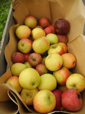Van appel tot moes (3)