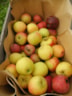 Van appel tot moes (3)