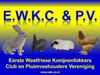 EWKC-logo