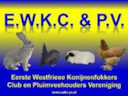 EWKC-logo