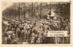 Veemarkt Hoorn