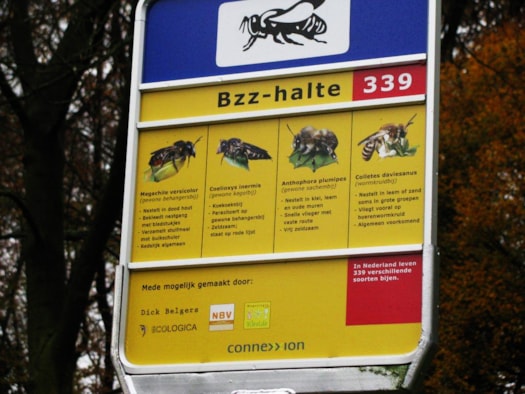 Bzzhalte