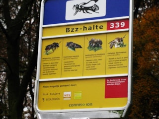 Bzzhalte