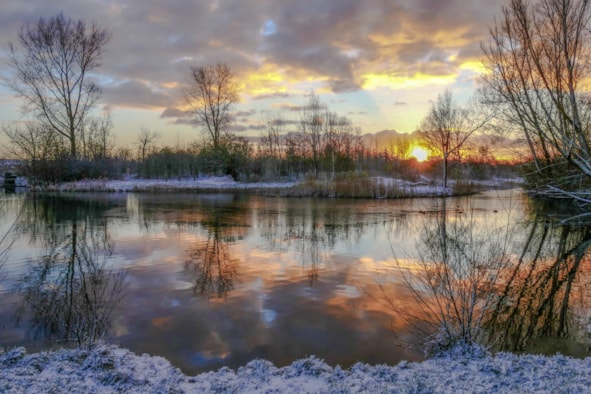 Winterwonderland (2)