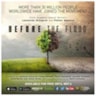 Before the flood