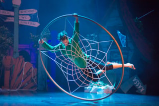 Cyr wheel