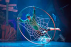 Cyr wheel