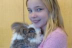 Huisjepluis 21-1-18