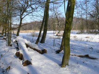 Streekbos  28-1-18