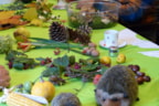 Natuur op bezoek 18-2-18