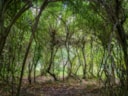 SAM_5724-VERKLEIND