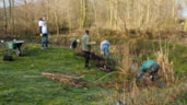 Paddenpoel schonen 10-3-18